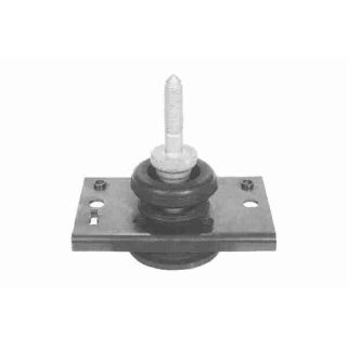 Variklio montavimas VAICO V46-1252