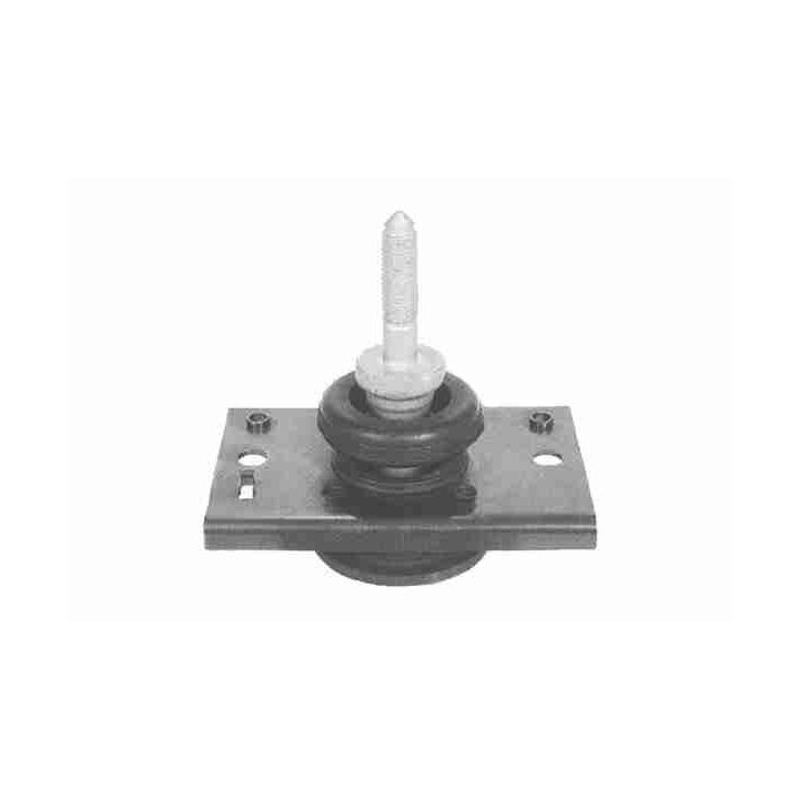 Variklio montavimas VAICO V46-1252