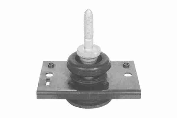 Variklio montavimas VAICO V46-1252