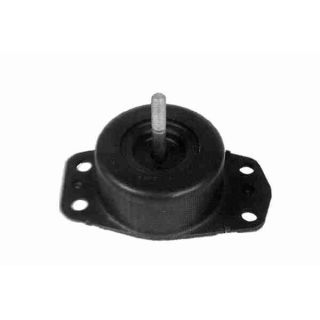 Variklio montavimas VAICO V46-1255