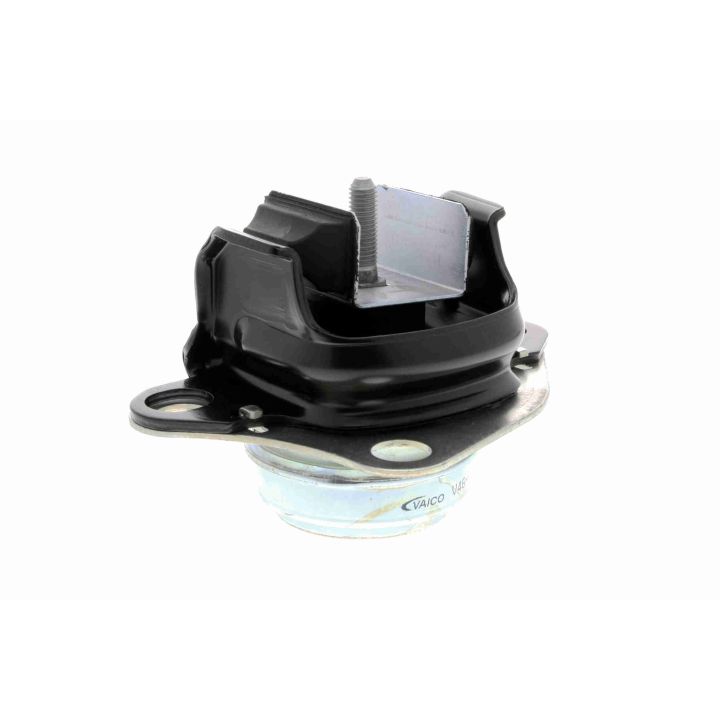 Variklio montavimas VAICO V46-9601