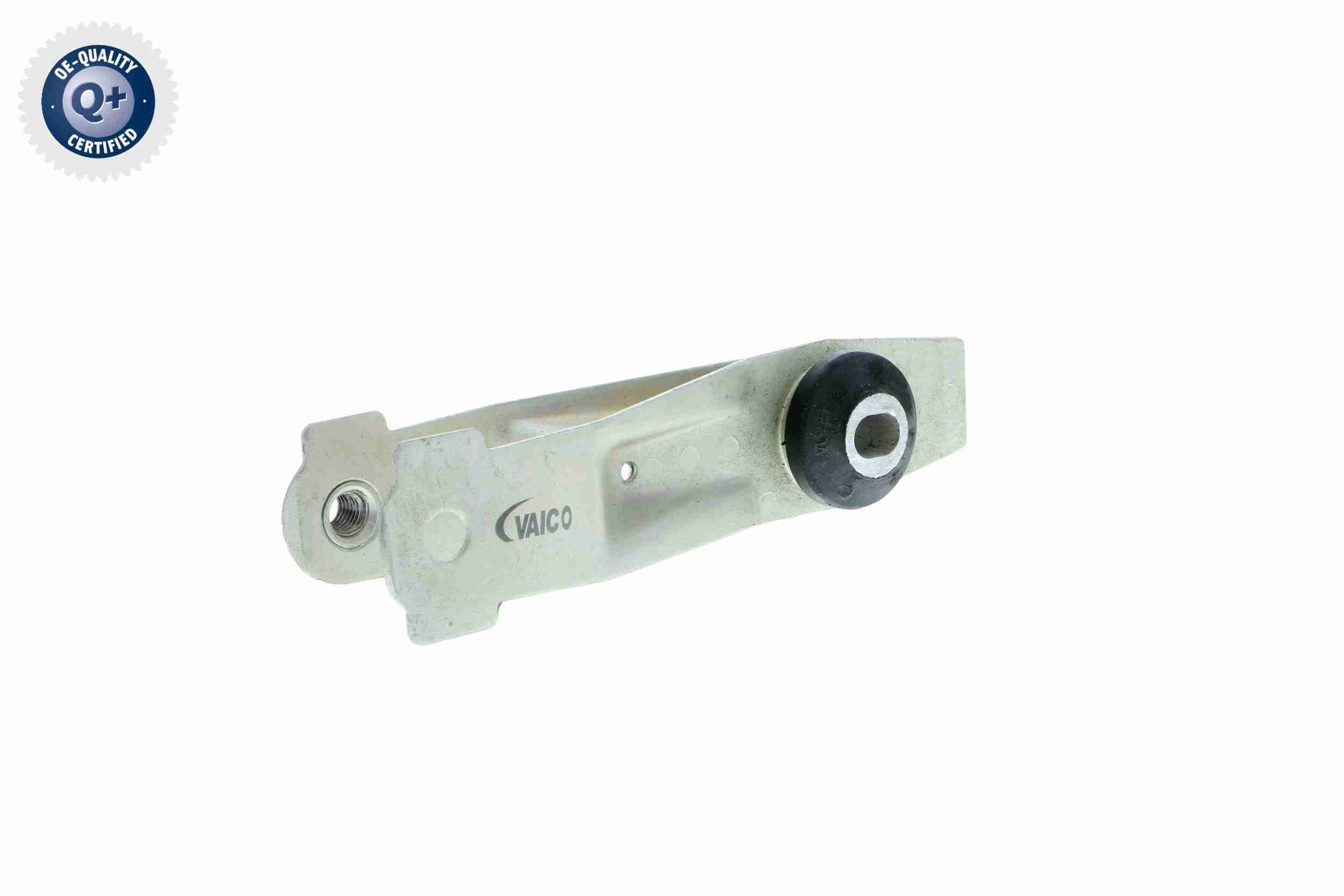 Variklio montavimas VAICO V46-9607