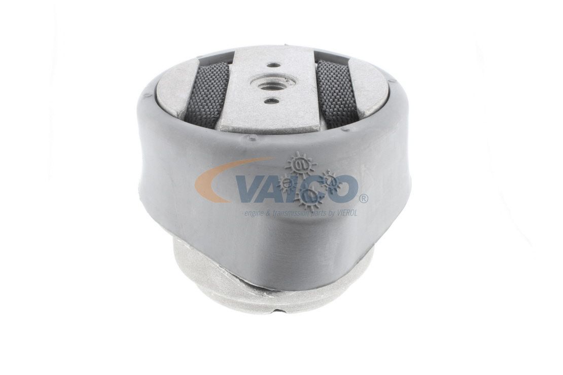 Laikymas, skirstomoji pavara VAICO V10-1918