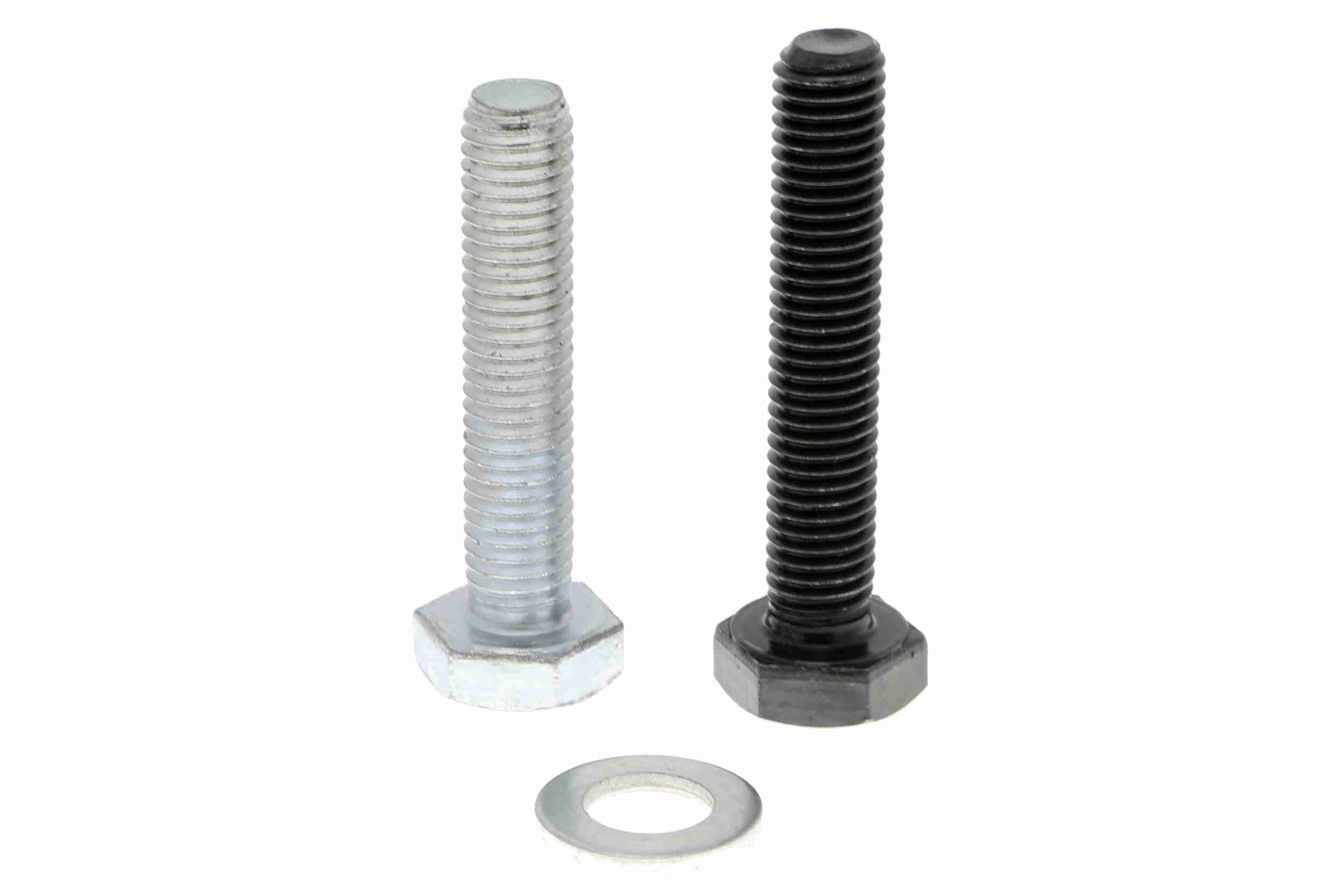 Kreipiantysis skriemulys, paskirstymo diržas VAICO V22-0479