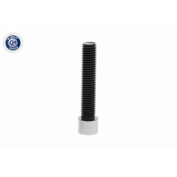 Kreipiantysis skriemulys, V formos rumbuotas diržas VAICO V46-0317