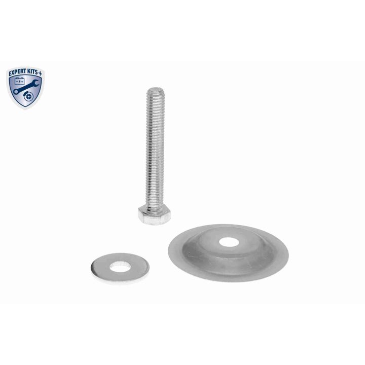 Kreipiantysis skriemulys, V formos rumbuotas diržas VAICO V48-0436