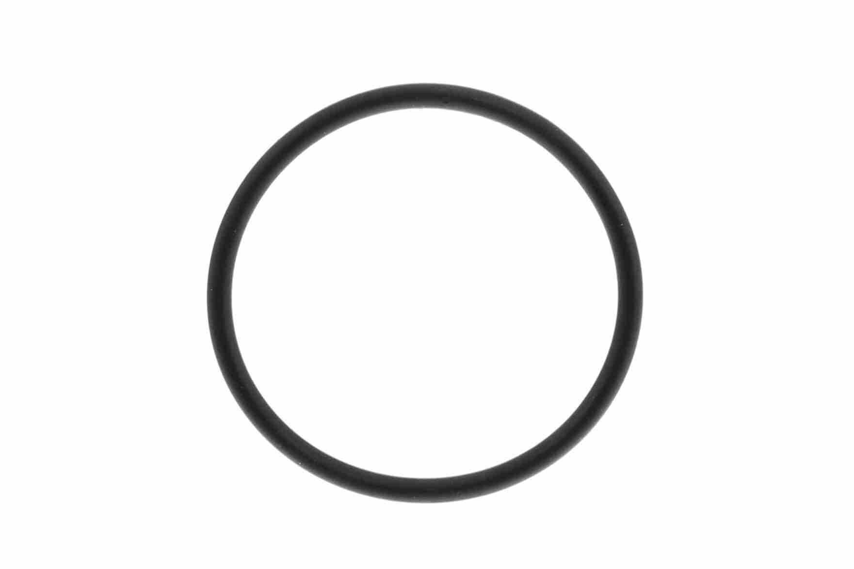 Hidraulinis filtras, automatinė transmisija VAICO V25-0130