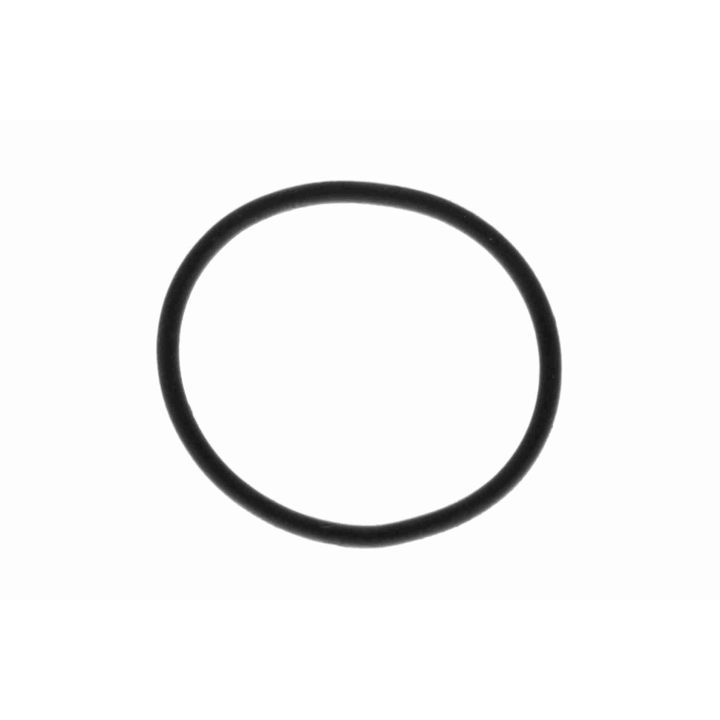 Kuro siurblys VAICO V10-0806