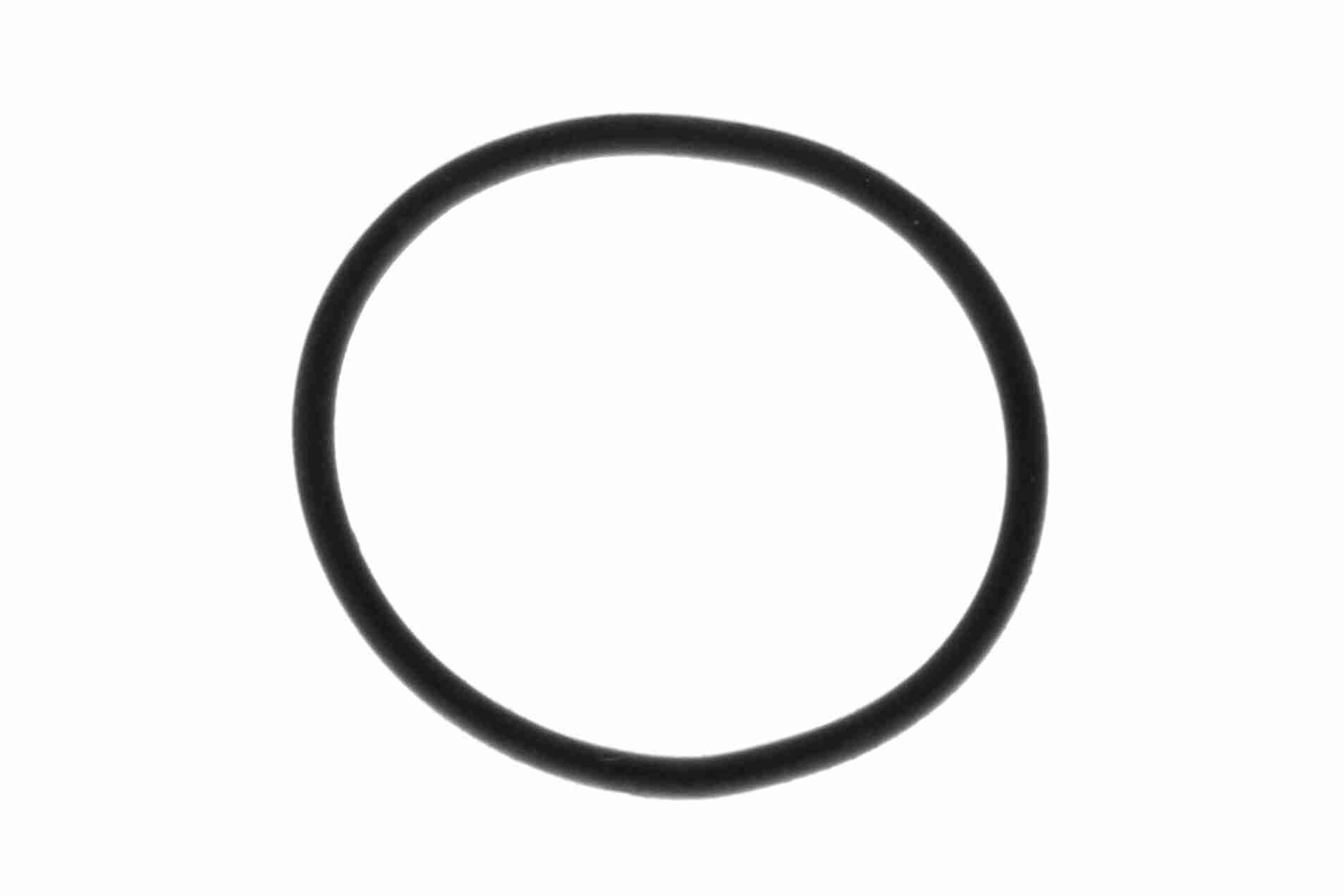 Kuro siurblys VAICO V10-0806