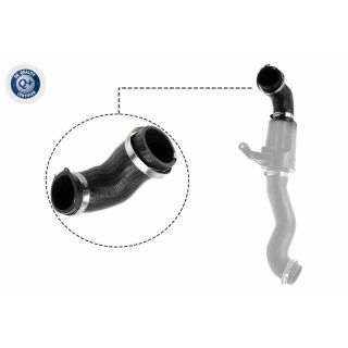 Radiatoriaus žarna VAICO V20-3626