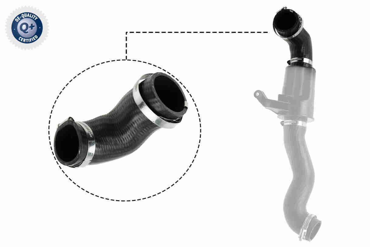 Radiatoriaus žarna VAICO V20-3626