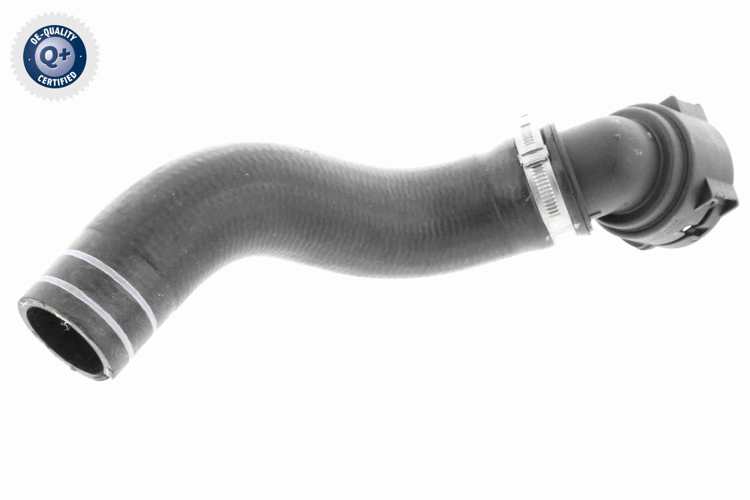 Radiatoriaus žarna VAICO V24-0833