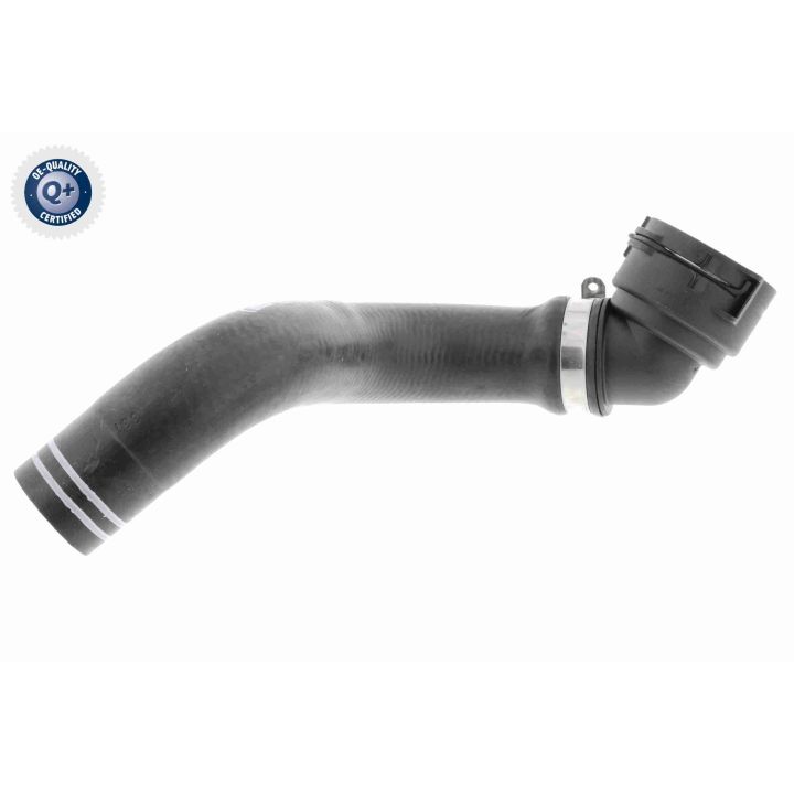 Radiatoriaus žarna VAICO V24-0835