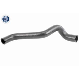 Radiatoriaus žarna VAICO V24-0868