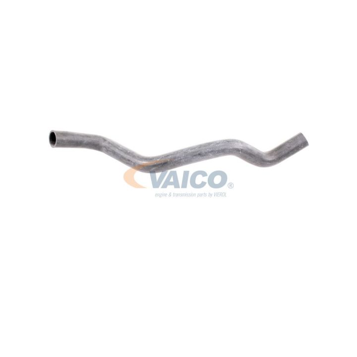 Radiatoriaus žarna VAICO V24-0870