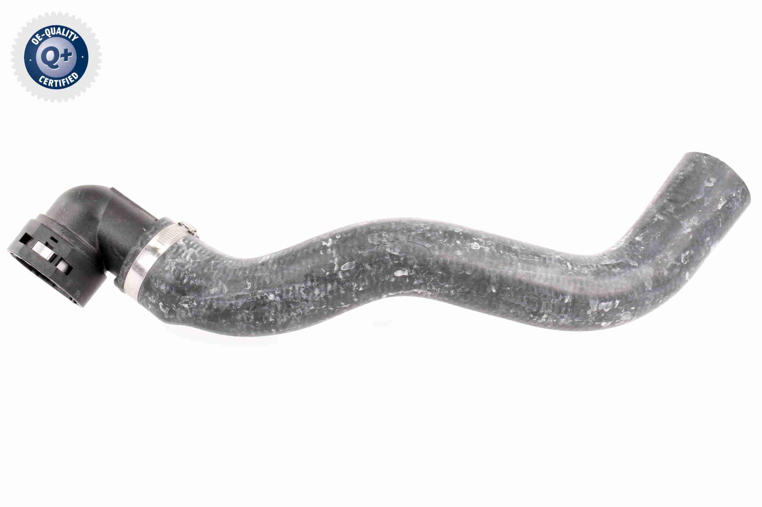 Radiatoriaus žarna VAICO V24-0876