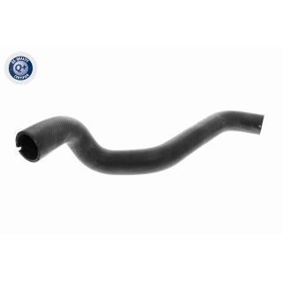 Radiatoriaus žarna VAICO V24-1075