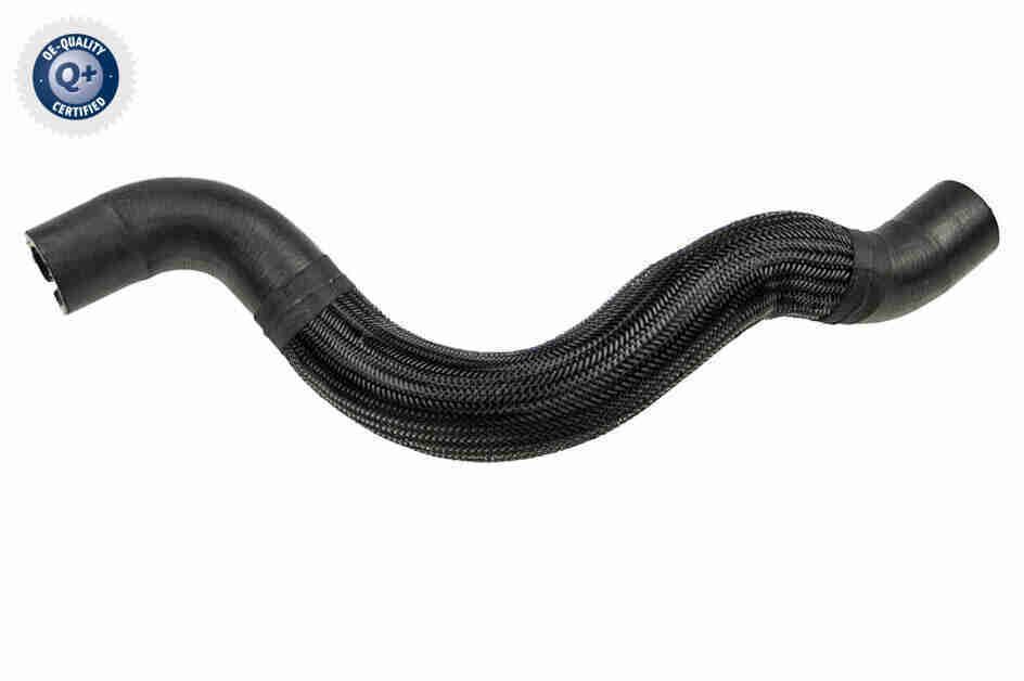 Radiatoriaus žarna VAICO V24-1164