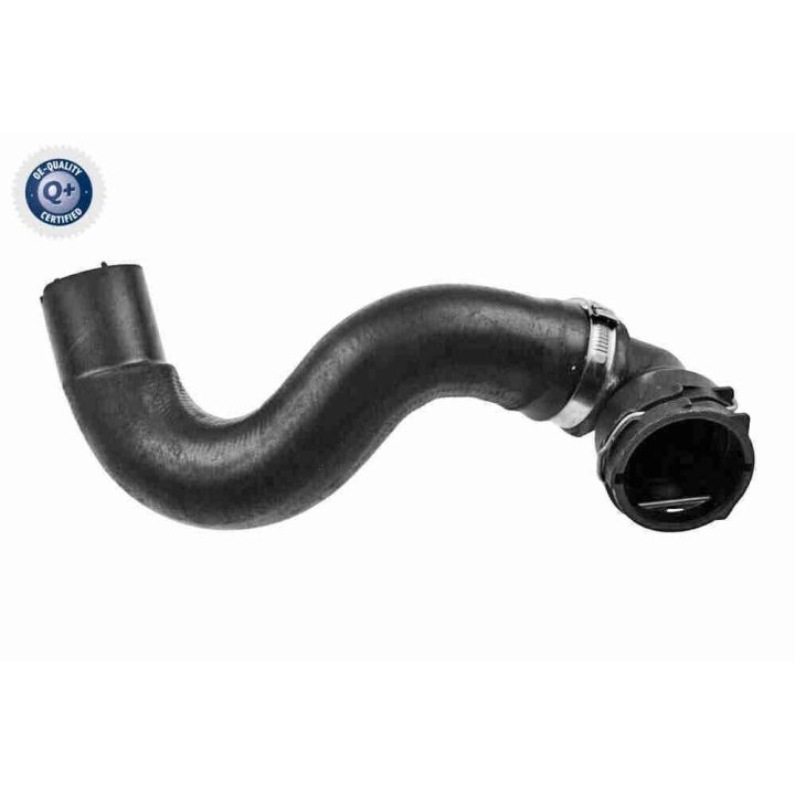 Radiatoriaus žarna VAICO V24-1168