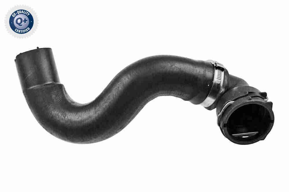 Radiatoriaus žarna VAICO V24-1168