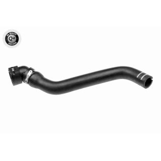 Radiatoriaus žarna VAICO V24-1186