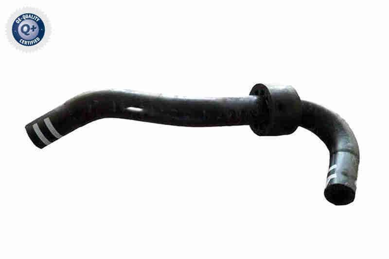 Radiatoriaus žarna VAICO V24-1267