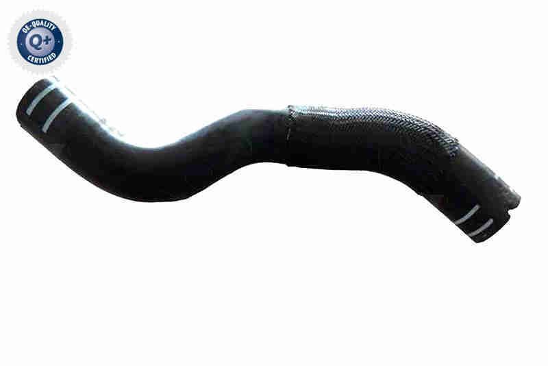 Radiatoriaus žarna VAICO V24-1271