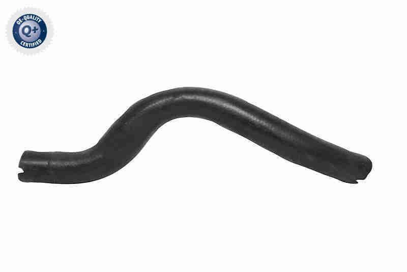 Radiatoriaus žarna VAICO V24-1275