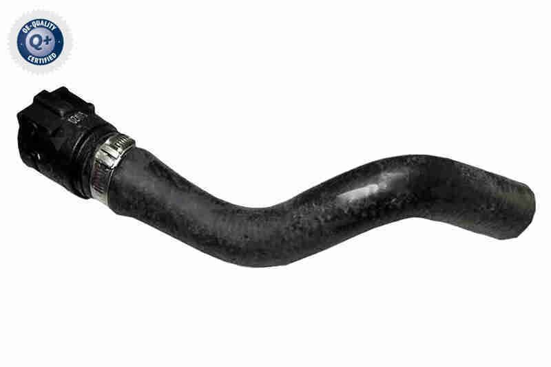 Radiatoriaus žarna VAICO V24-1278