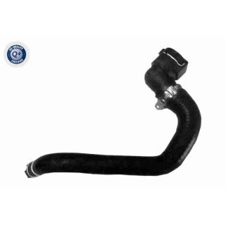 Radiatoriaus žarna VAICO V24-1279