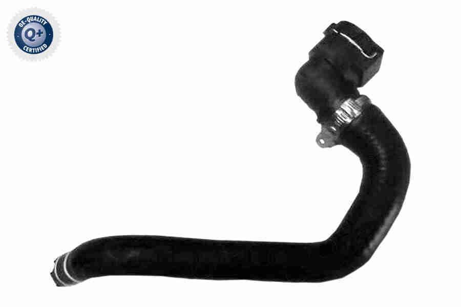 Radiatoriaus žarna VAICO V24-1279