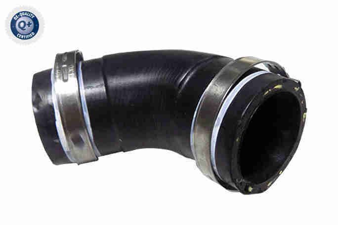 Radiatoriaus žarna VAICO V24-1282