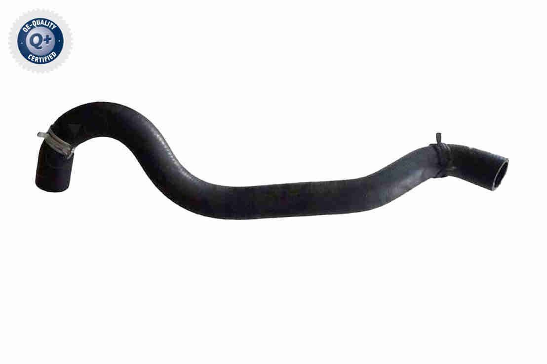 Radiatoriaus žarna VAICO V25-2565