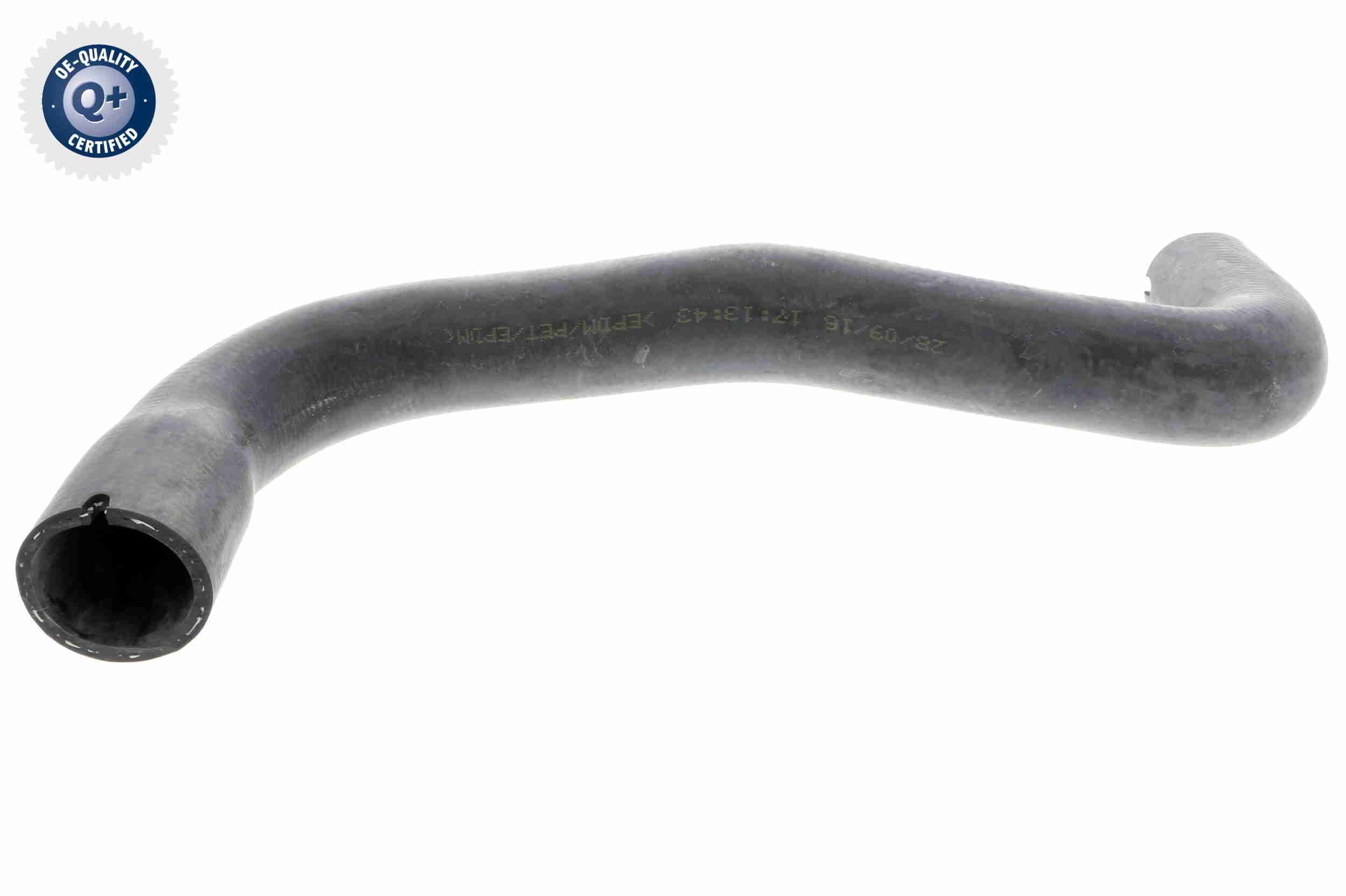 Radiatoriaus žarna VAICO V40-1160