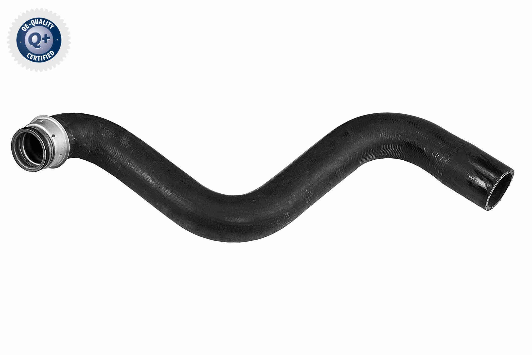 Radiatoriaus žarna VAICO V42-0761