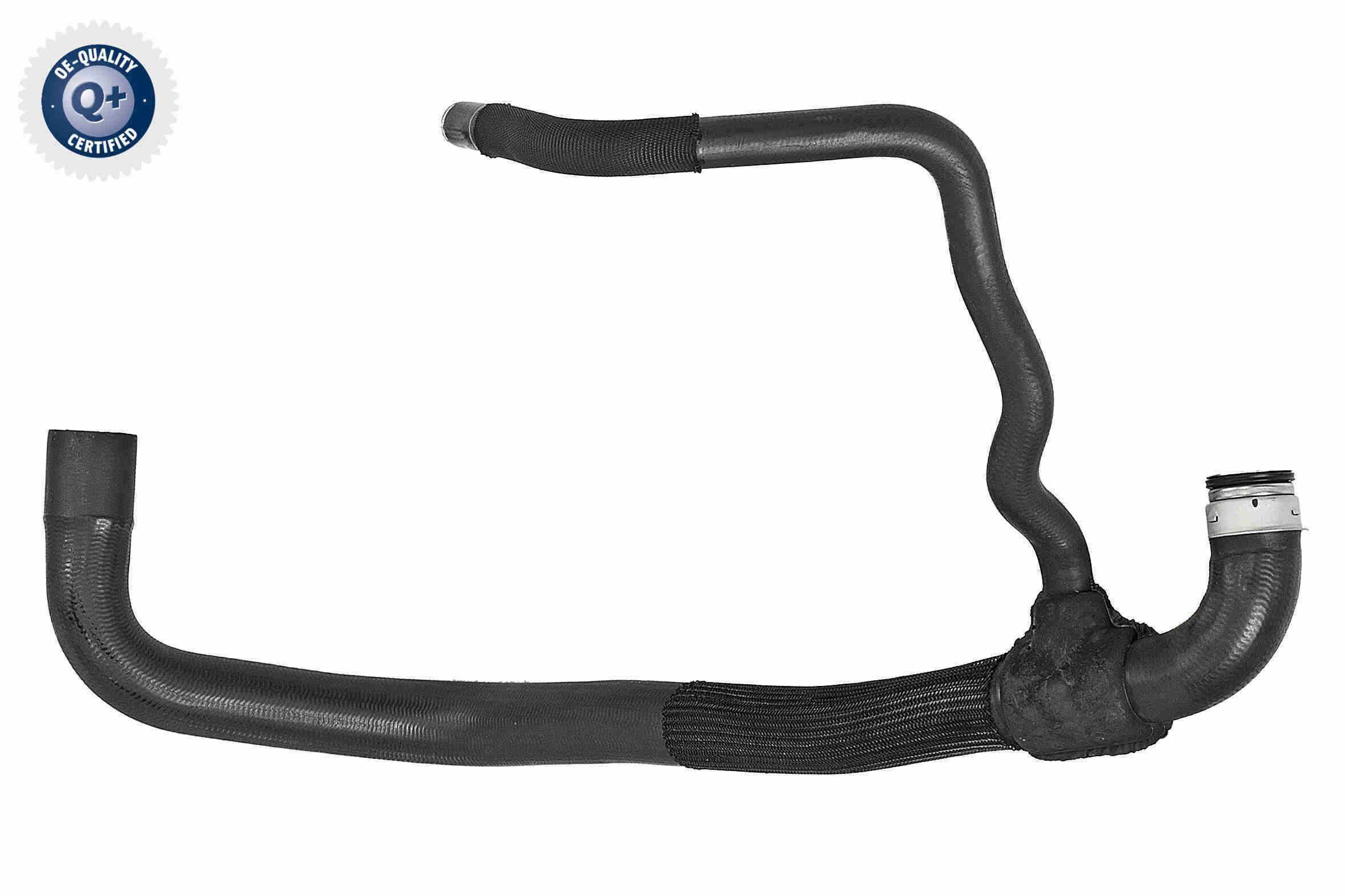 Radiatoriaus žarna VAICO V42-0762