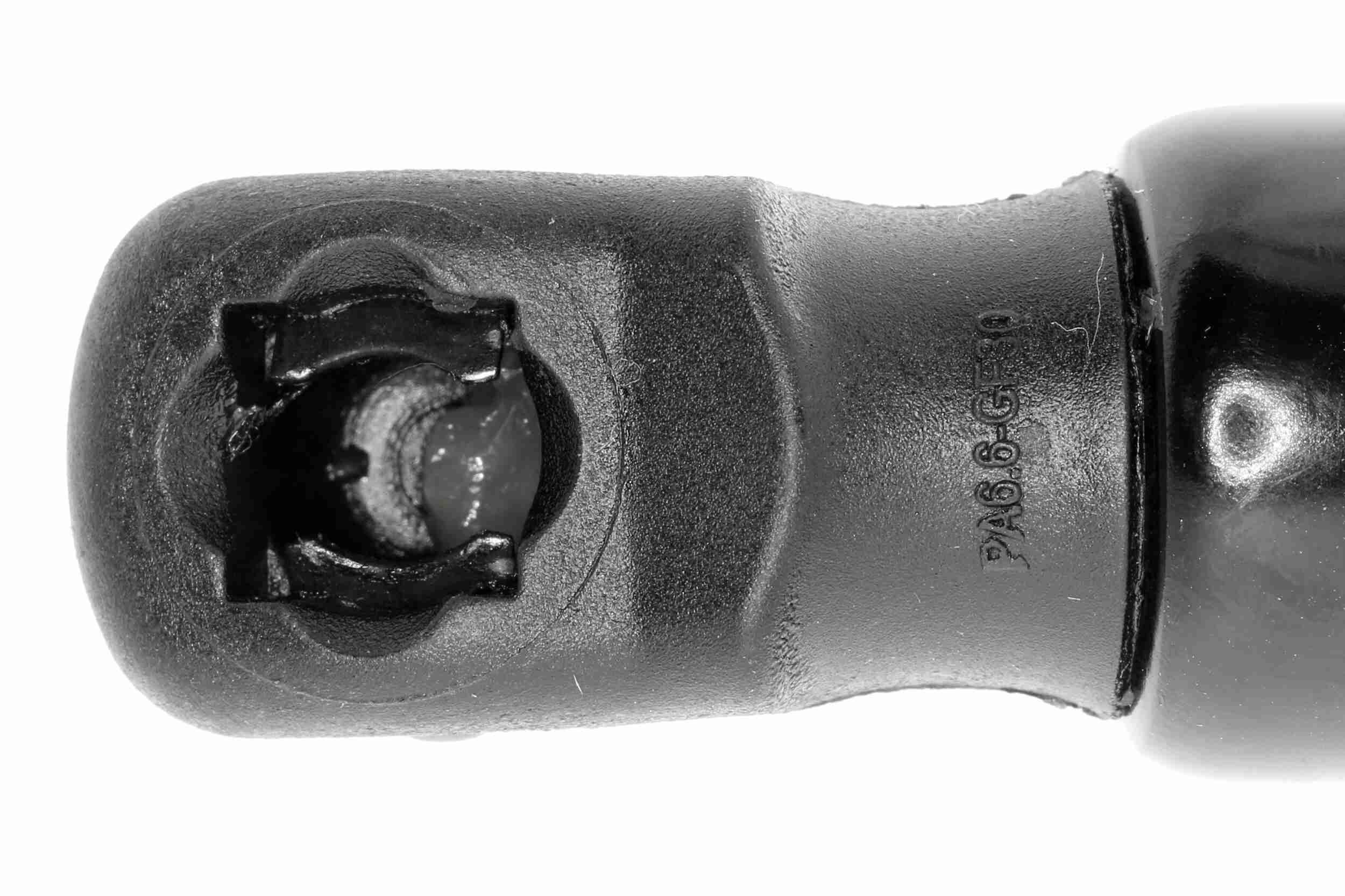 Dujinė spyruoklė, gaubtas VAICO V20-1013