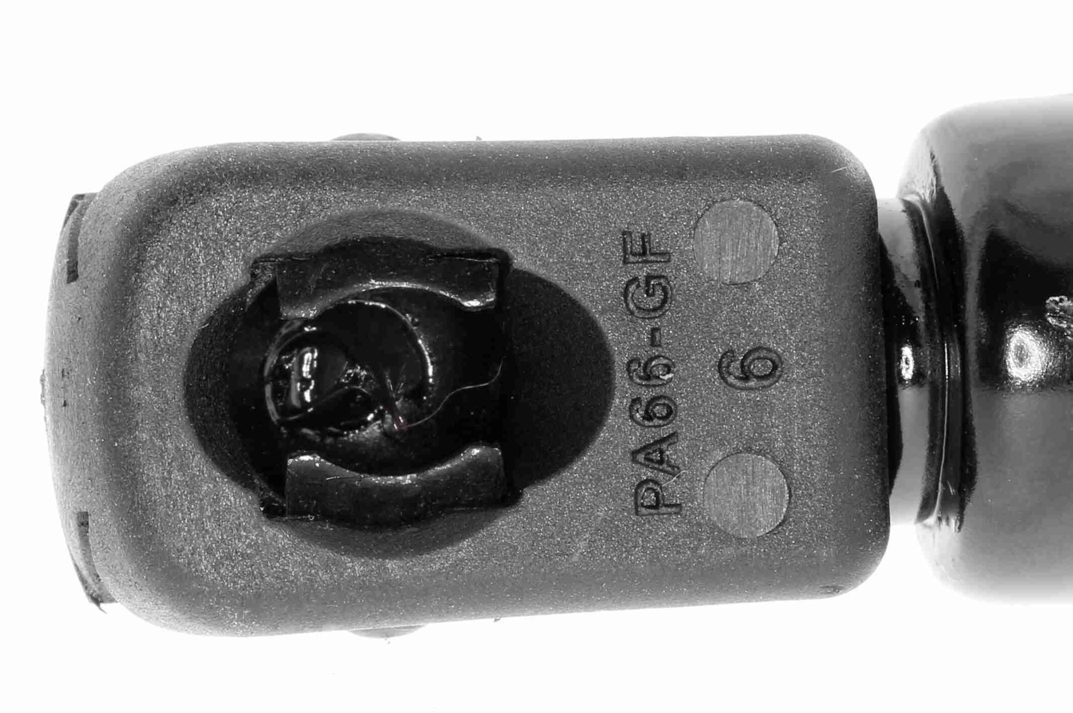 Dujinė spyruoklė, gaubtas VAICO V20-1889