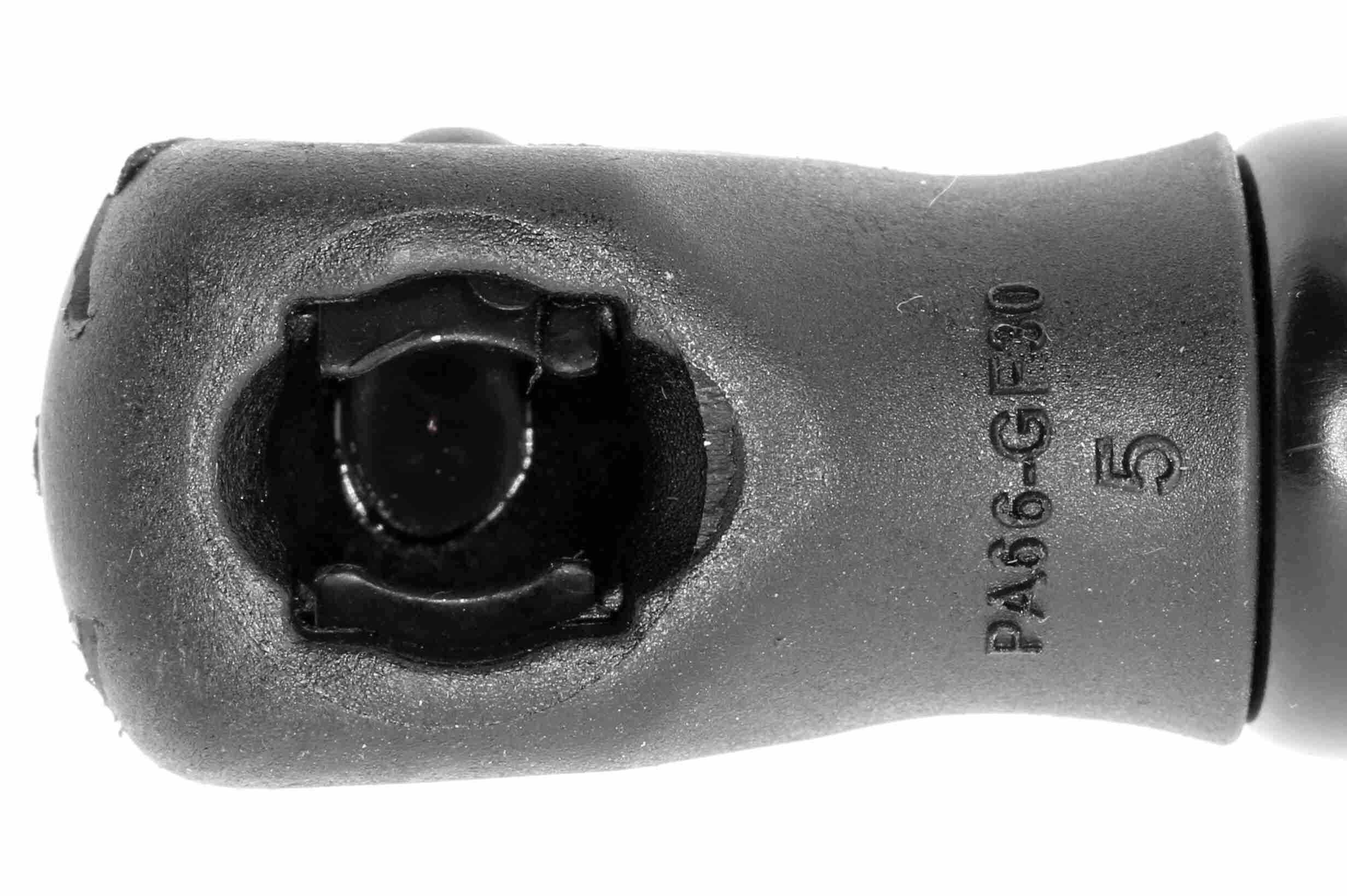Dujinė spyruoklė, gaubtas VAICO V21-0032