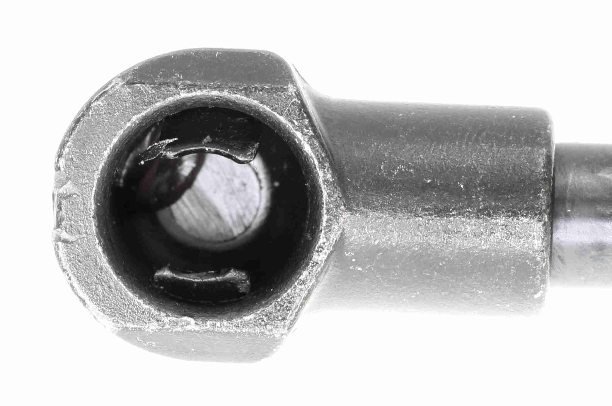 Dujinė spyruoklė, gaubtas VAICO V24-0197