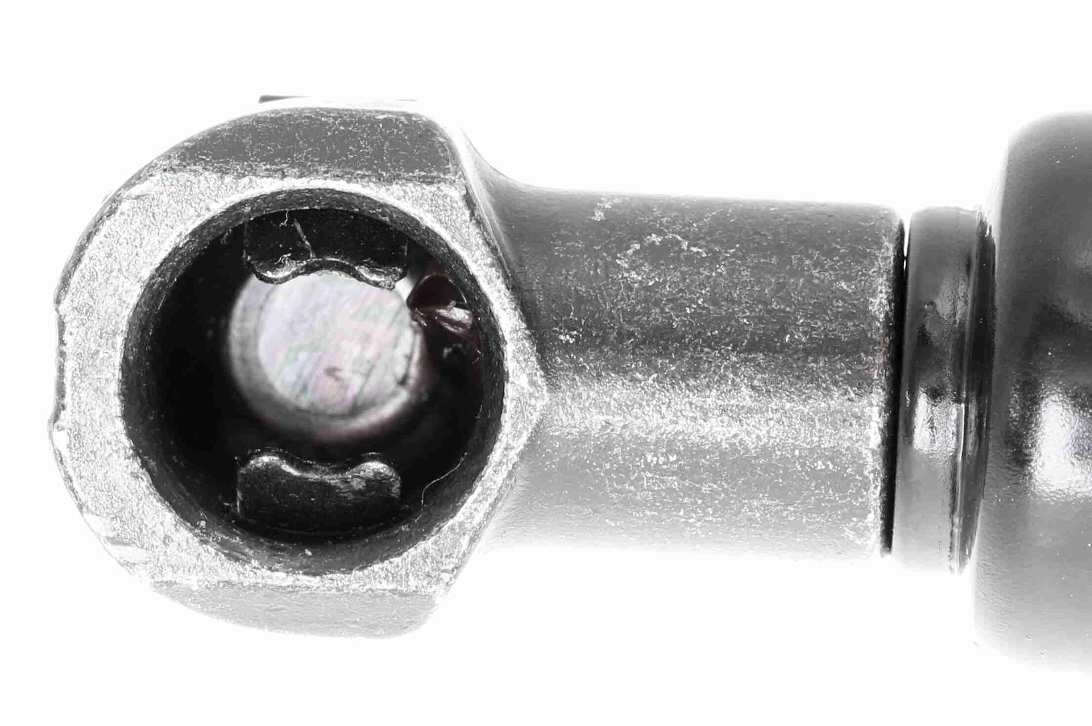 Dujinė spyruoklė, gaubtas VAICO V24-0197