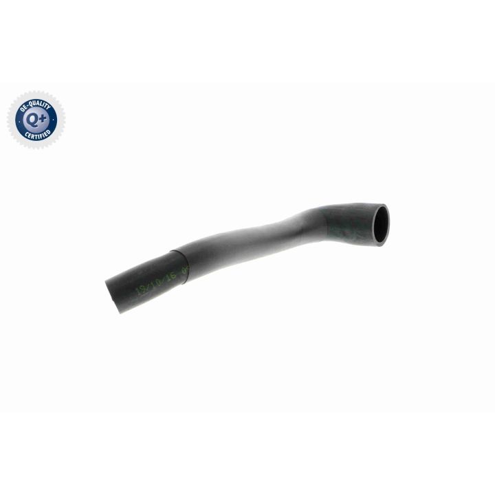 žarna, vožtuvo dangtelio alsuoklis VAICO V22-1070