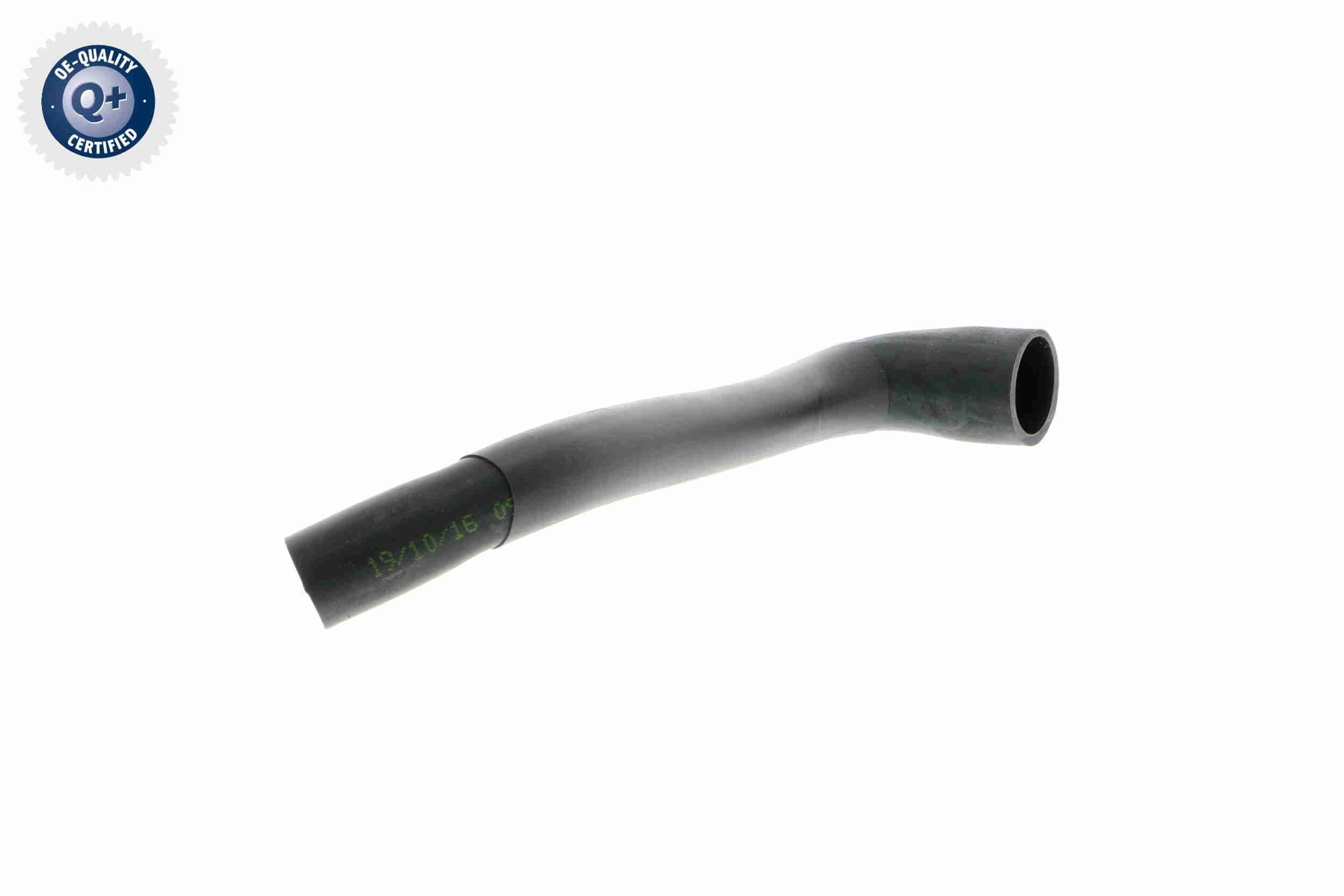 žarna, vožtuvo dangtelio alsuoklis VAICO V22-1070