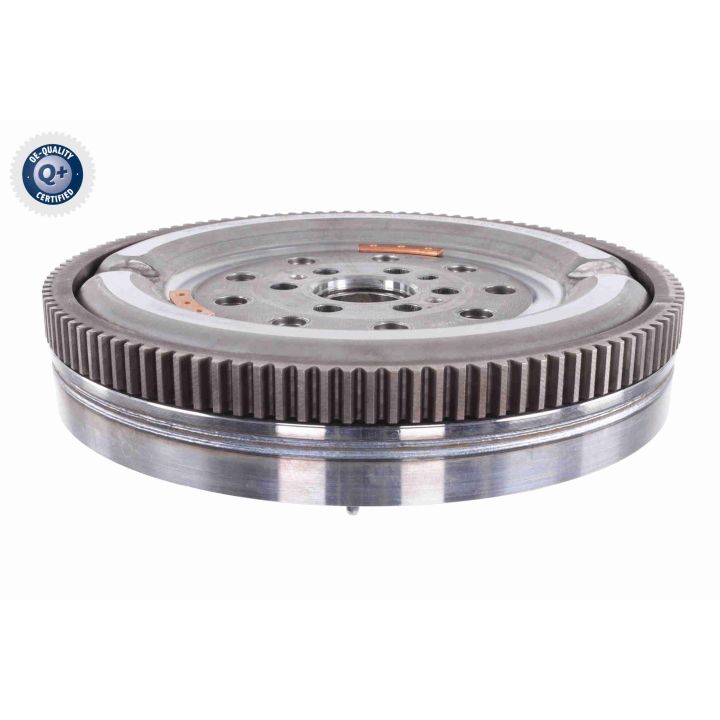 Smagratis VAICO V24-1348