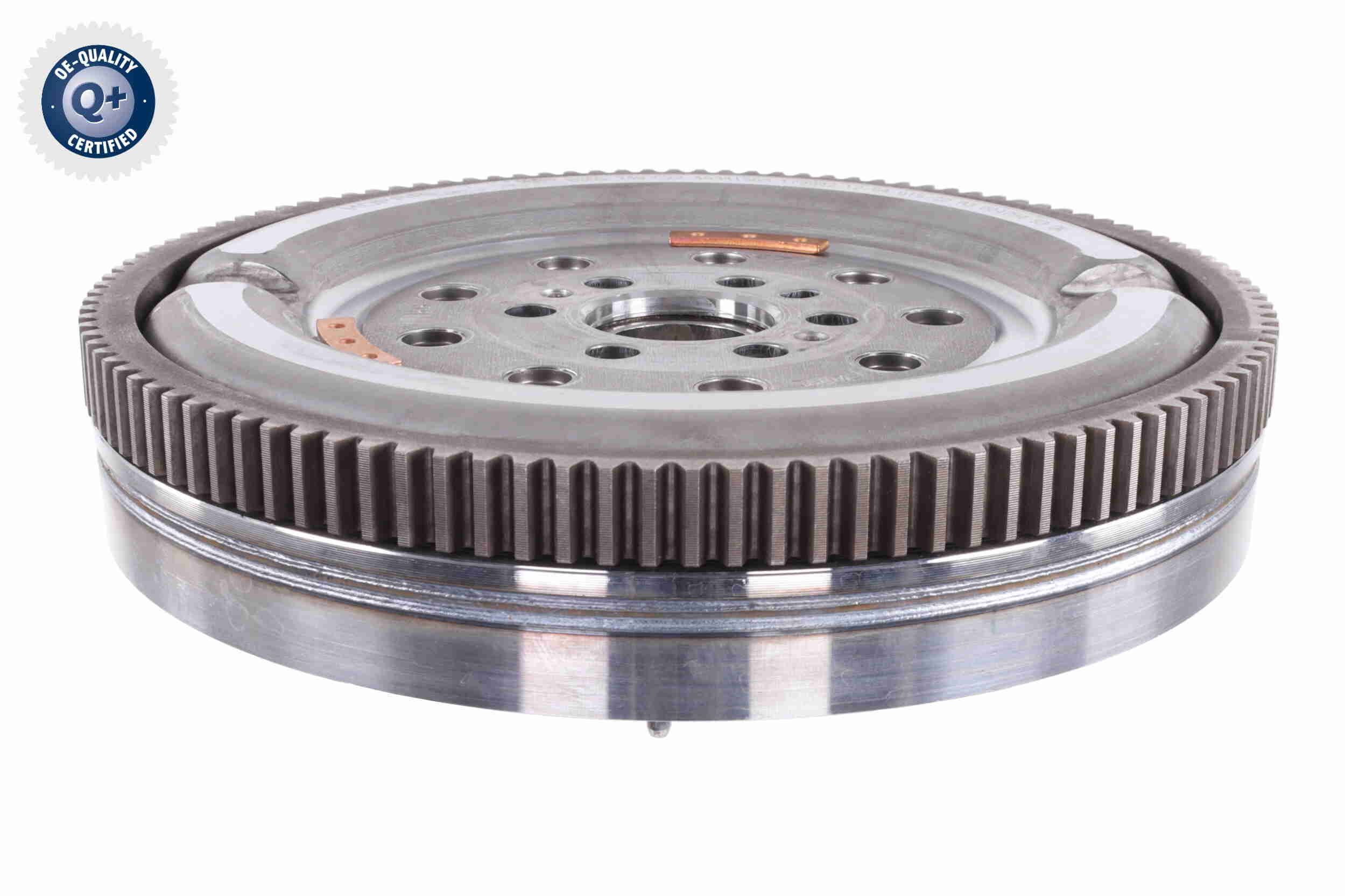 Smagratis VAICO V24-1348