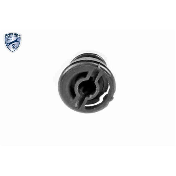 Alyvos karteris VAICO V10-5374