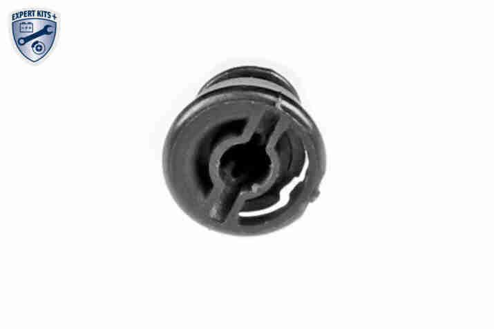 Alyvos karteris VAICO V10-5374