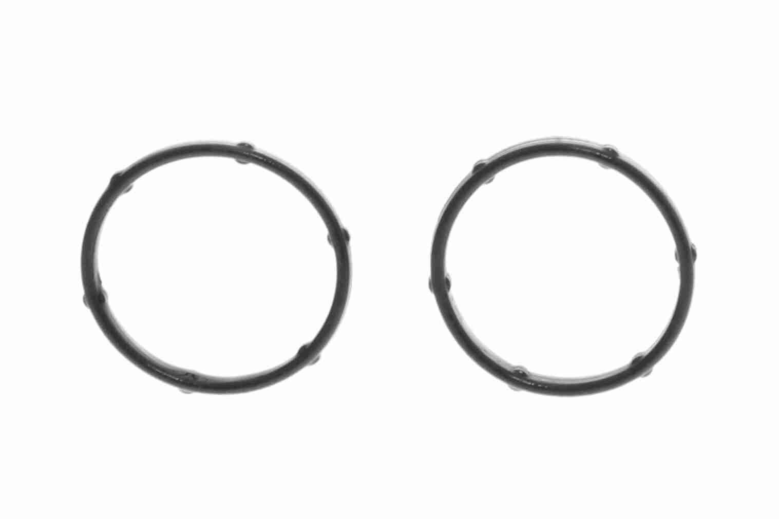 Alyvos siurblys VAICO V25-2134