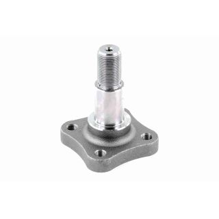 Rato stebulė VAICO V21-0011