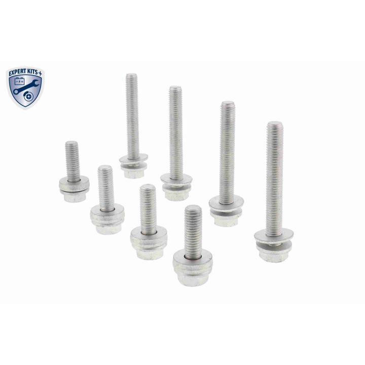 Rato guolio komplektas VAICO V20-0676